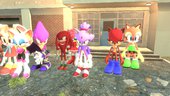 Sonic Characters Skin Pack